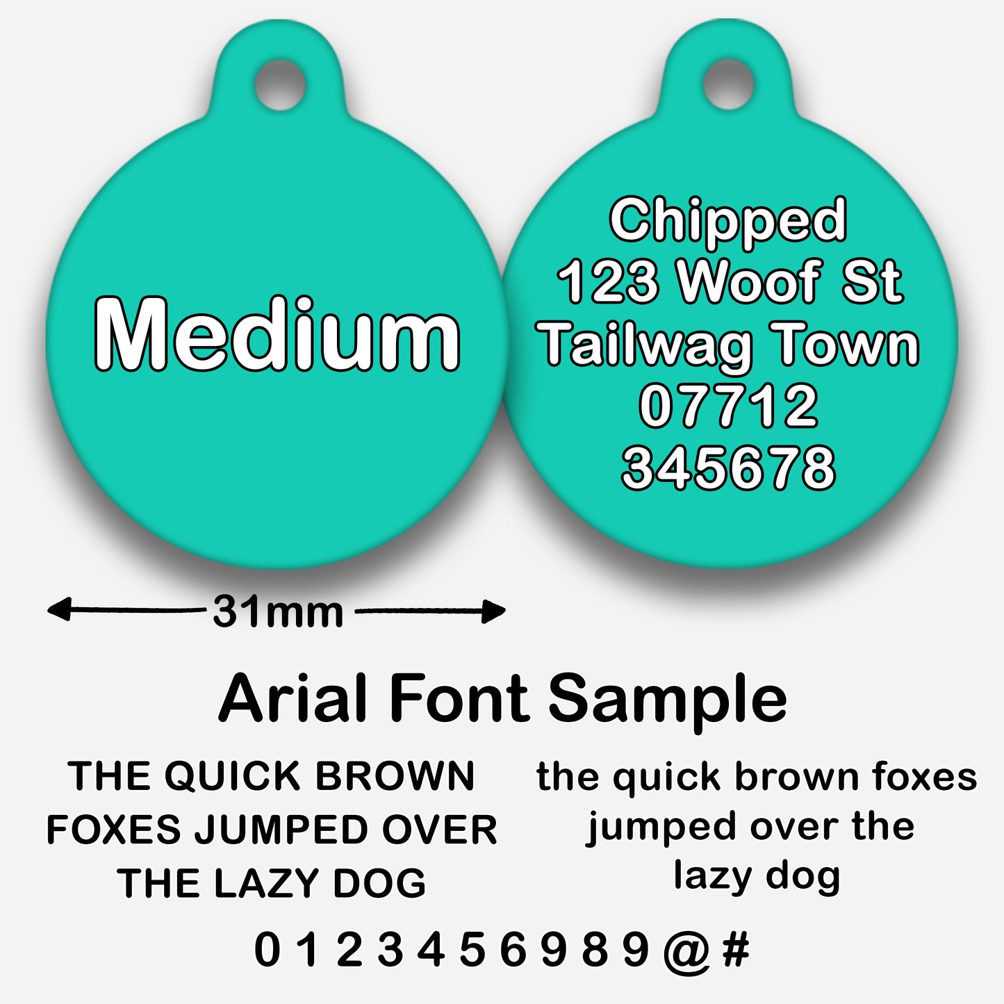 Turquoise - Pet ID Tag