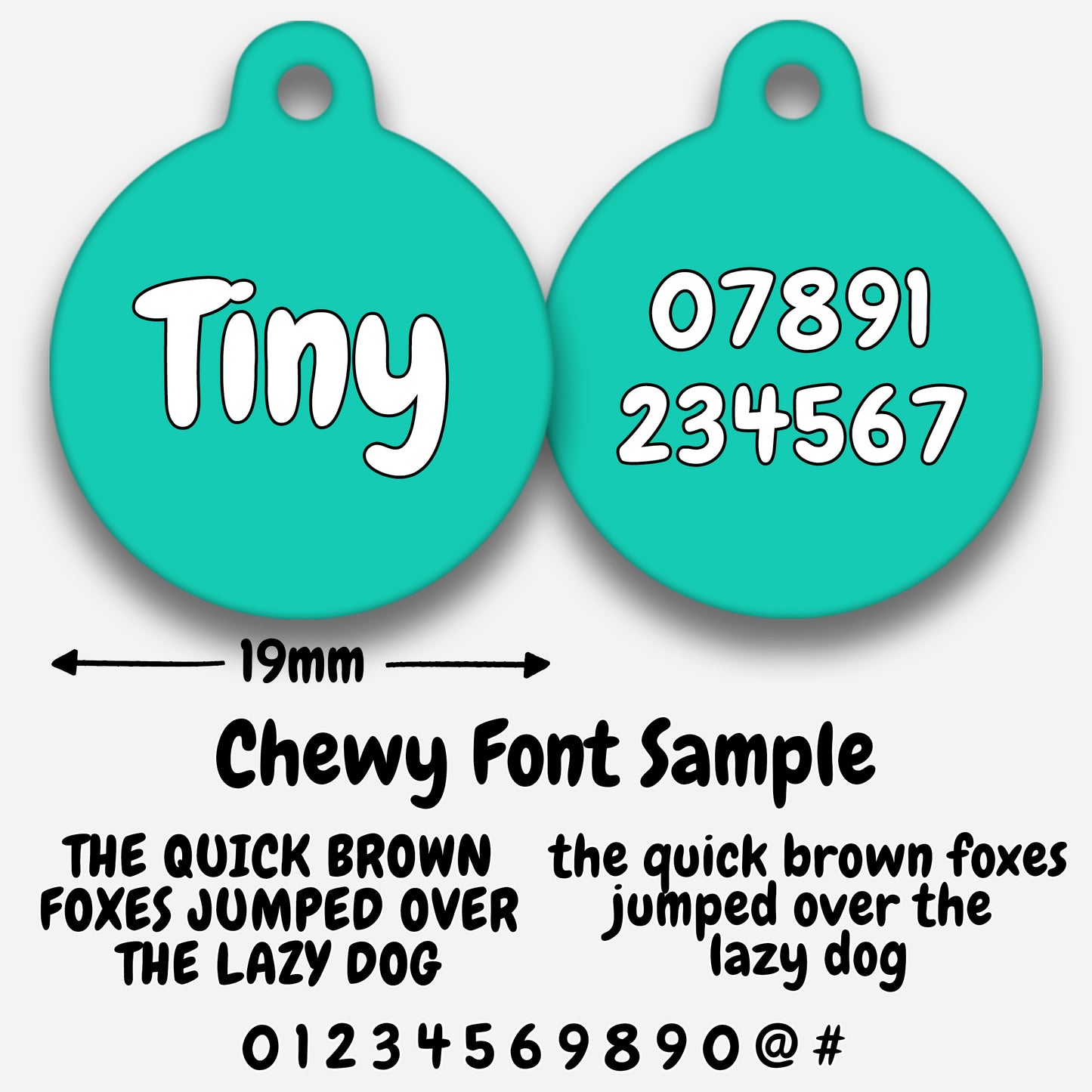 Turquoise - Pet ID Tag