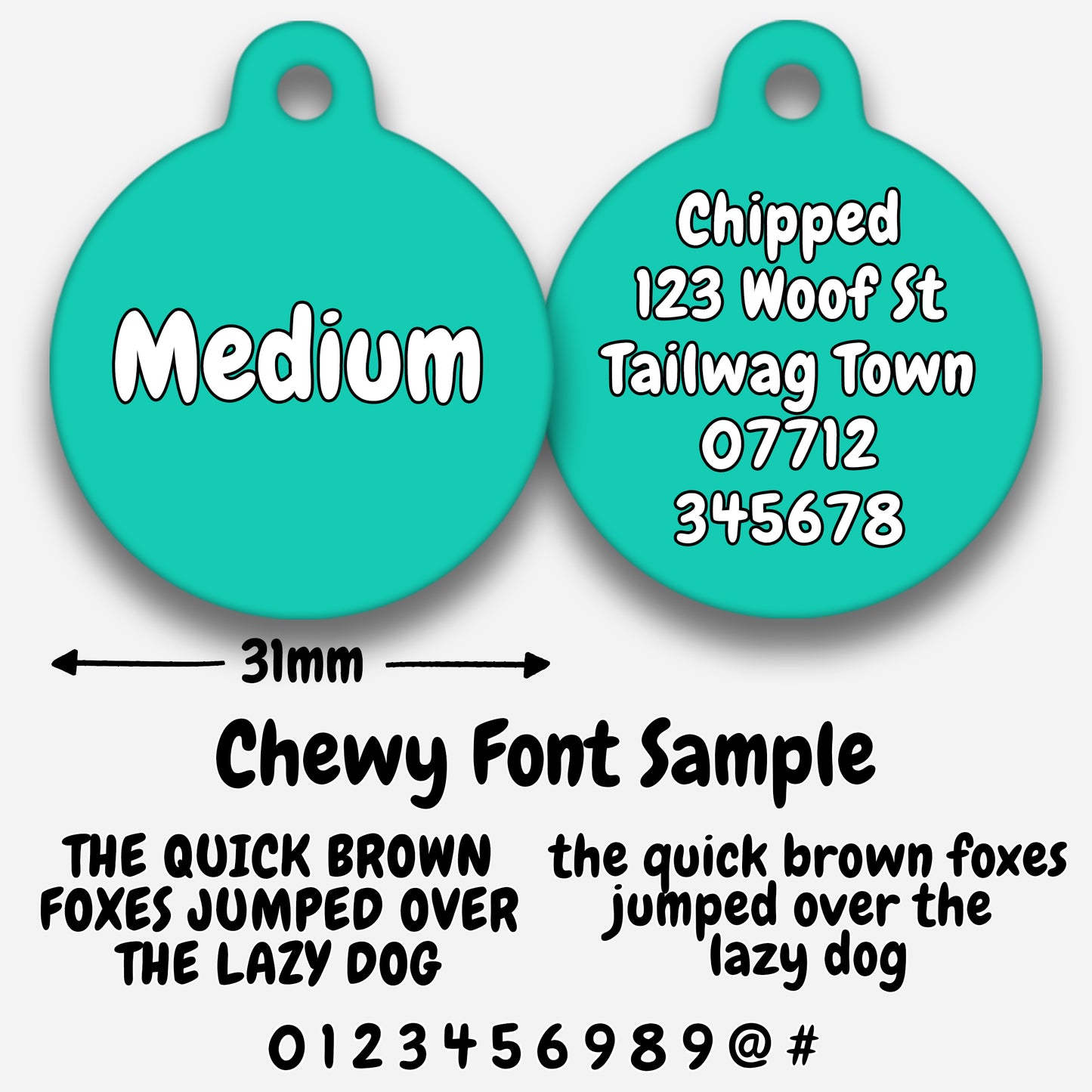 Turquoise - Pet ID Tag