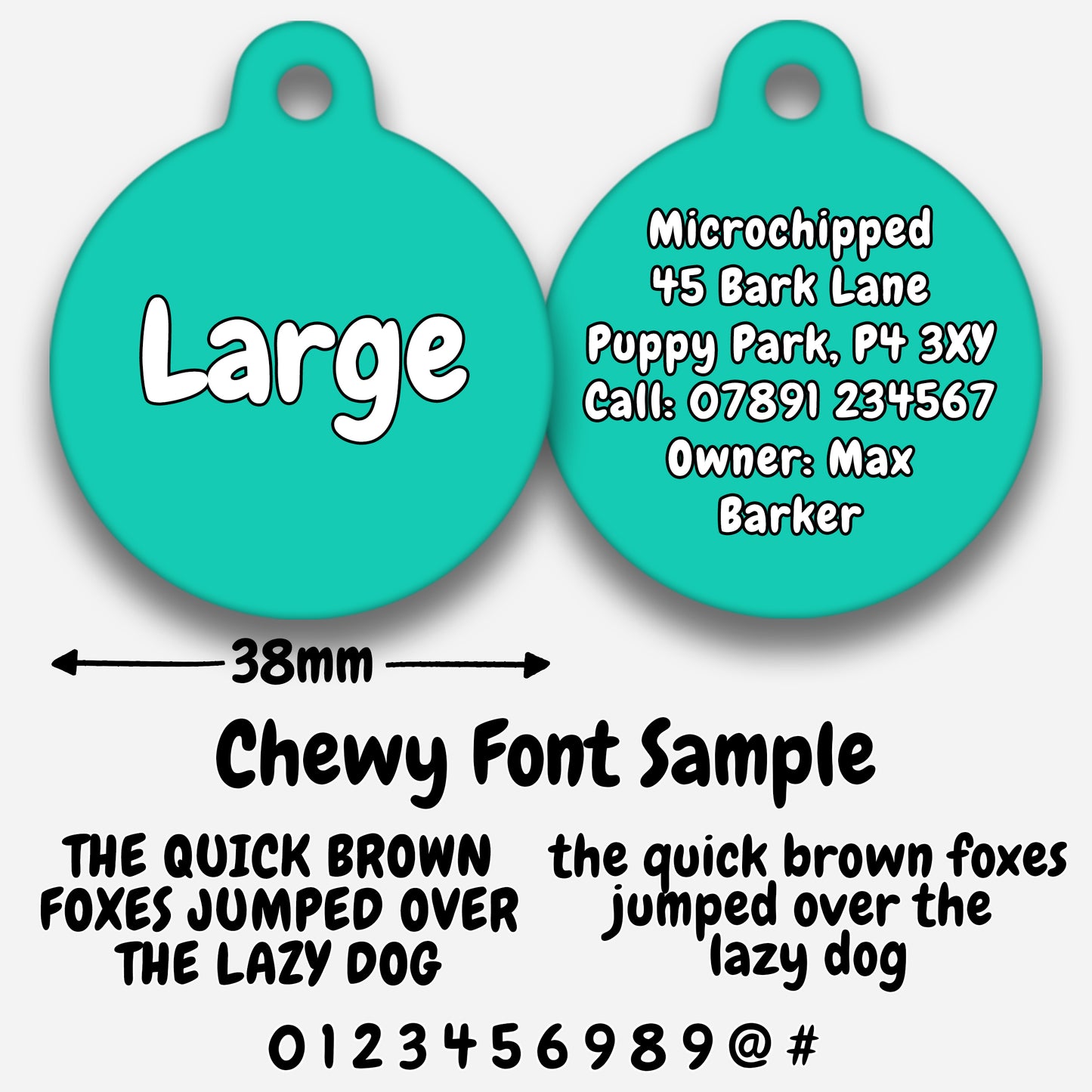 Turquoise - Pet ID Tag
