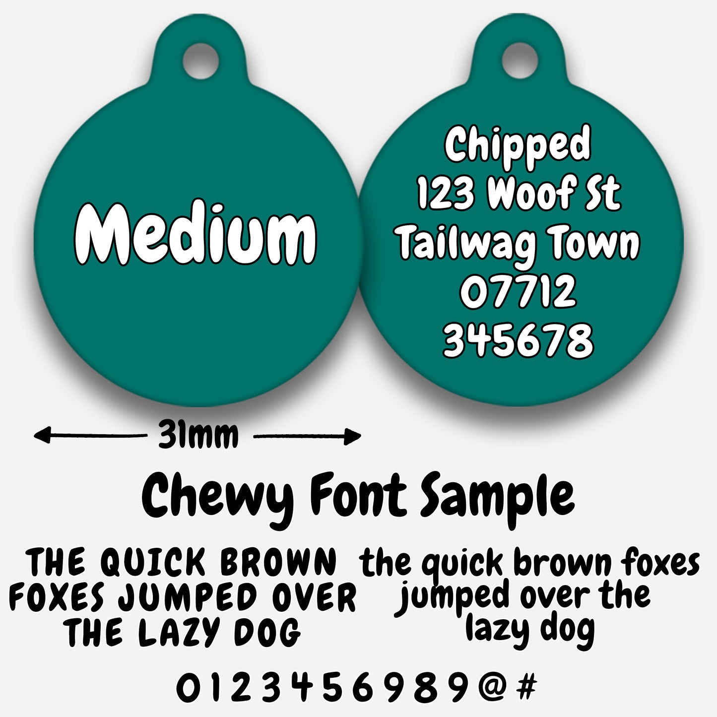Teal - Pet ID Tag