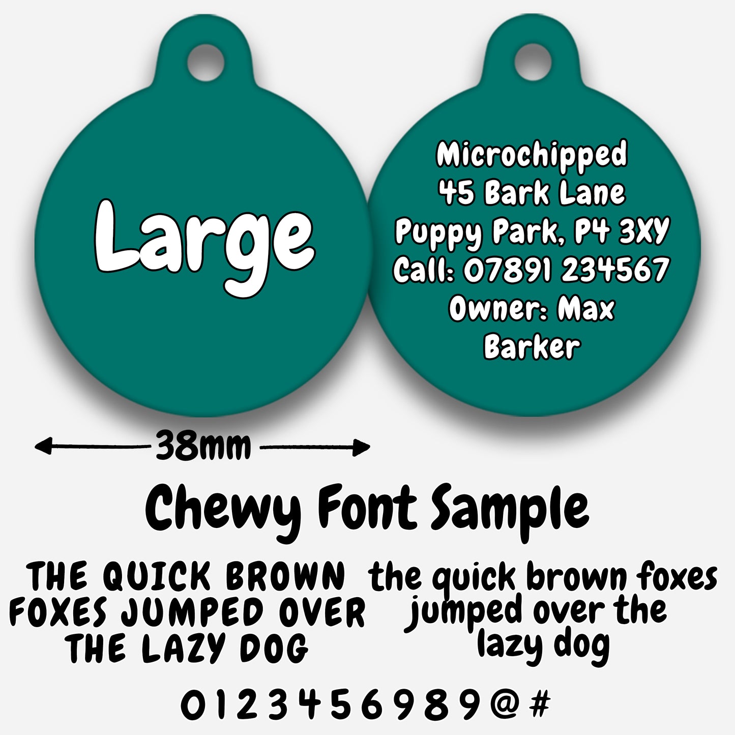Teal - Pet ID Tag
