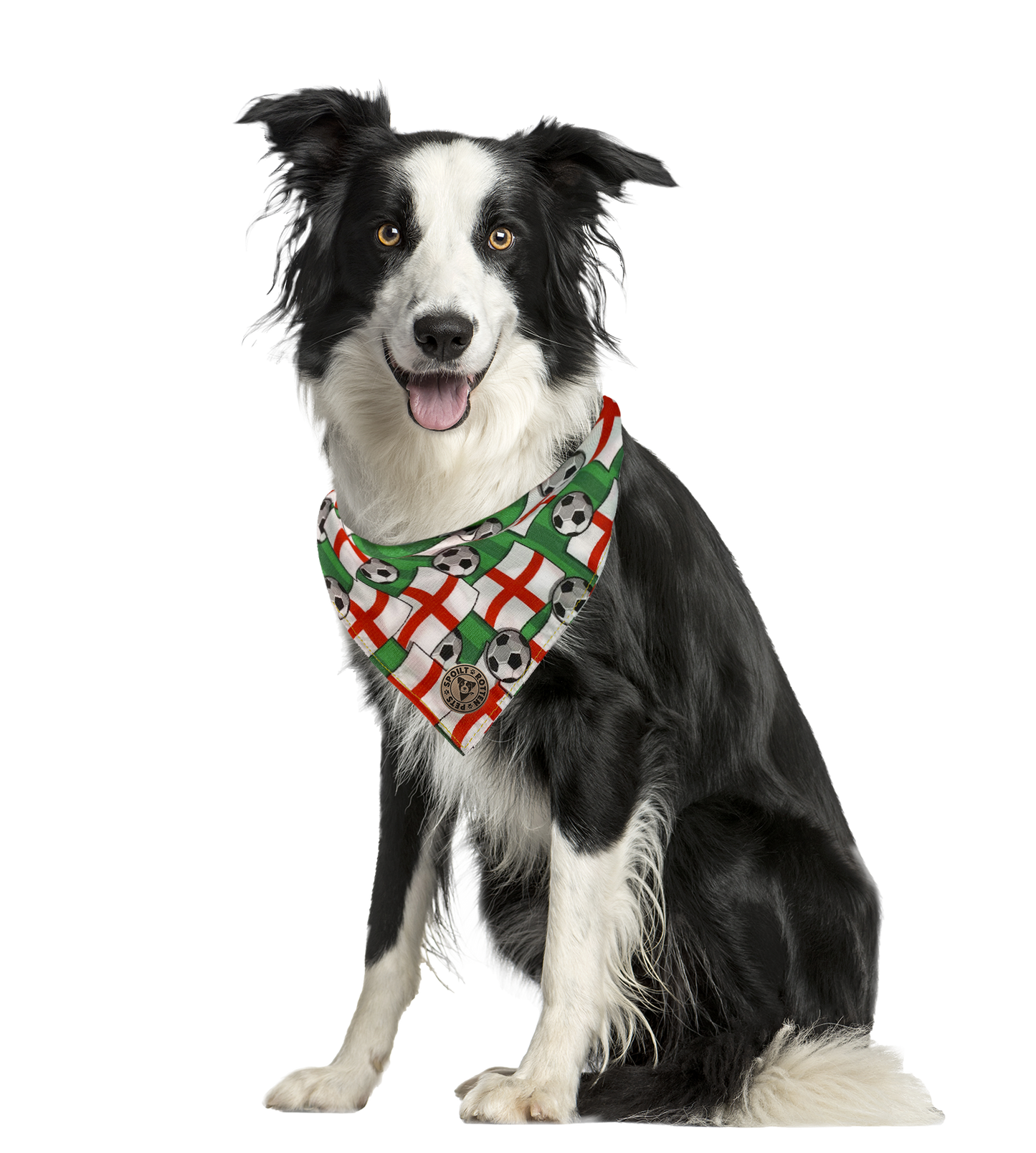 The Wembley - Football Flag Tied Dog Bandana