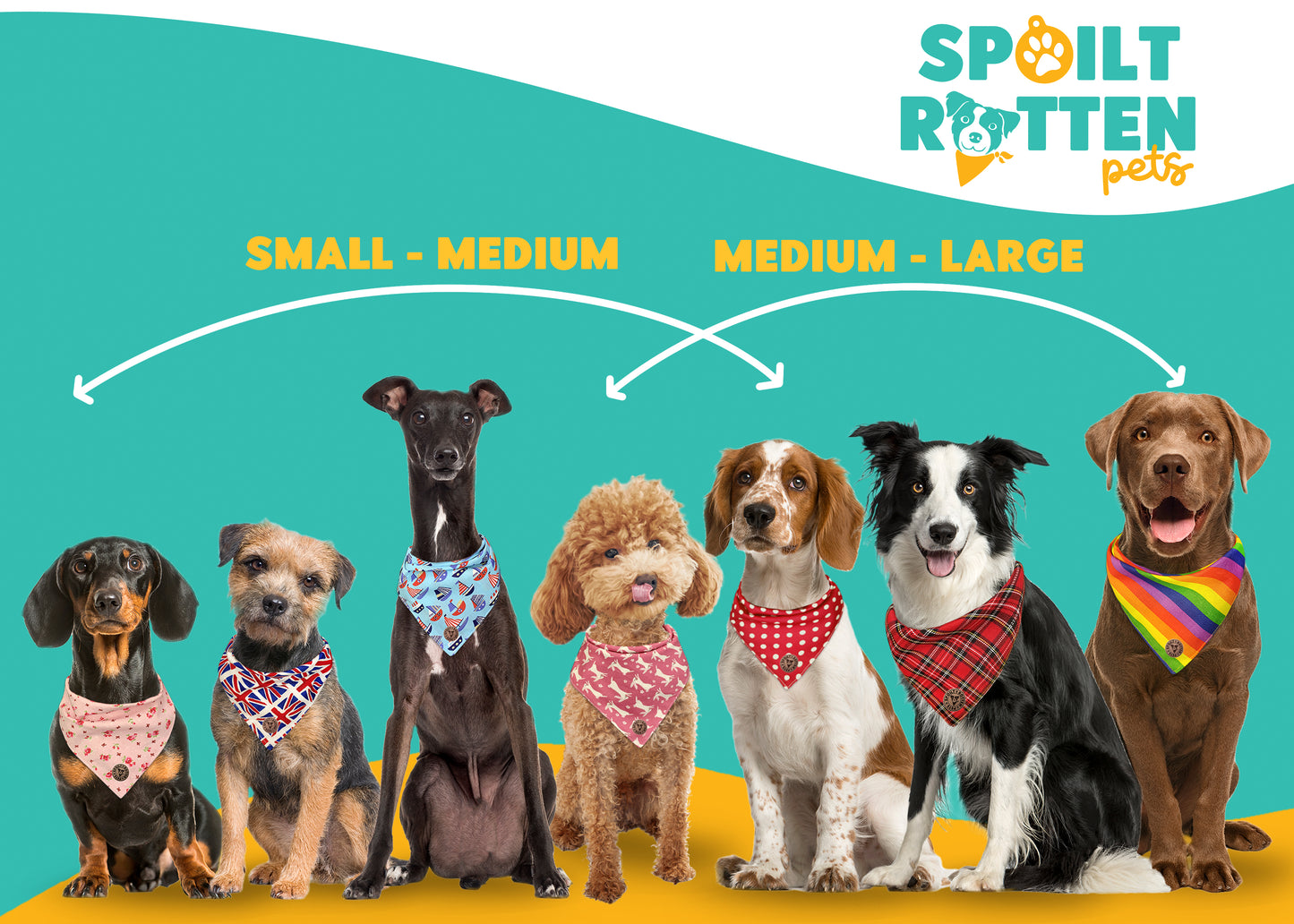The Pomeroy - Grinning Pumpkins & Webs & Bats Tied Dog Bandana