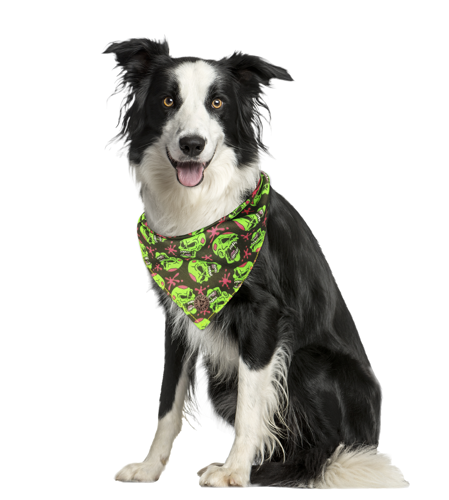 The Hampton - Green Zombie Skulls Tied Dog Bandana