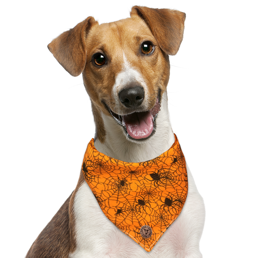 Orange dog bandana deals