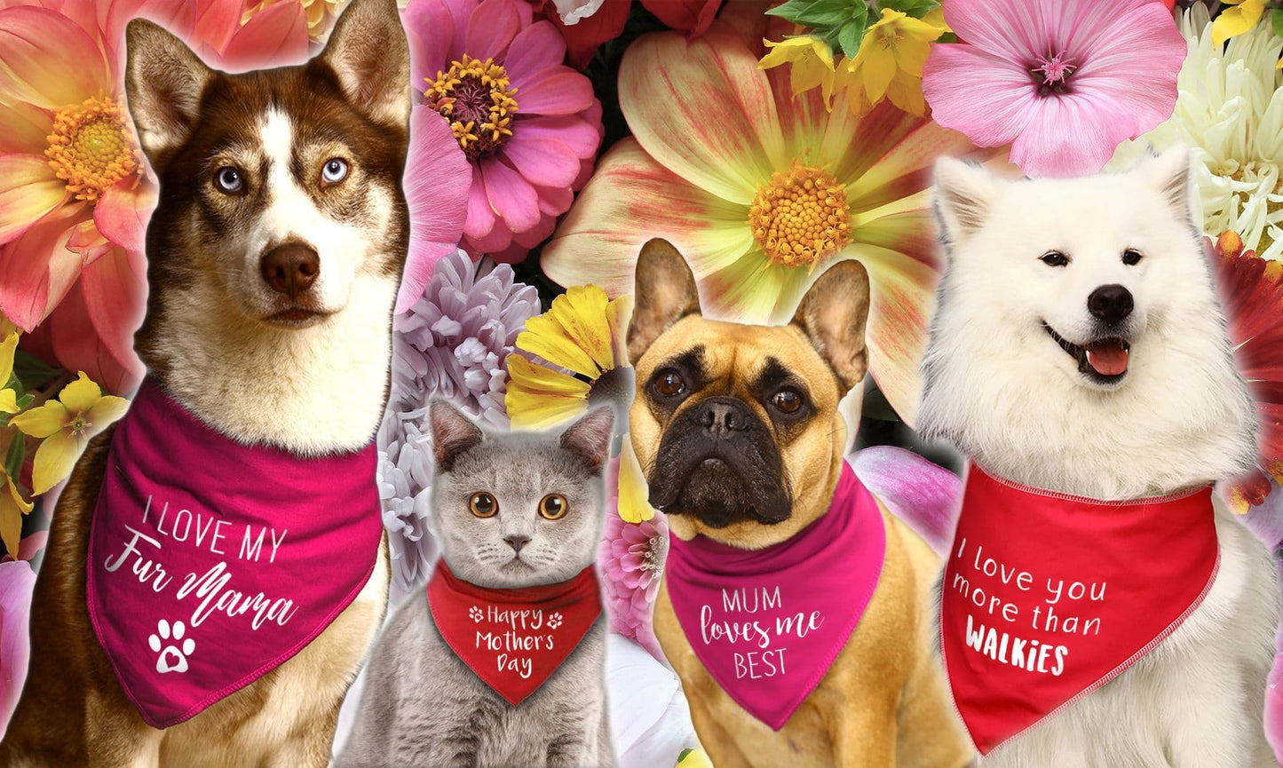 Happy Mother's Day Balloons Dog Bandana