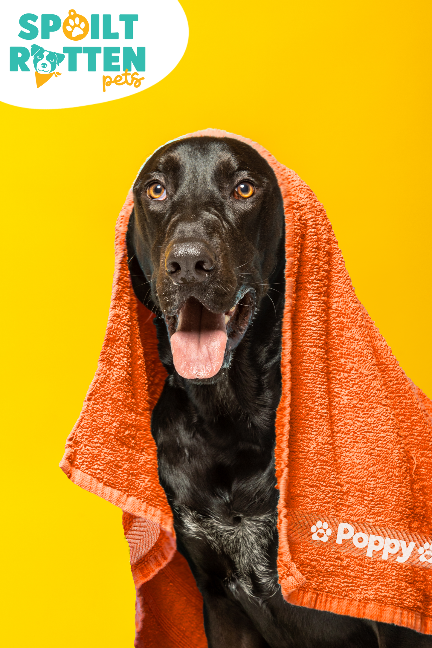 Orange Pet Towel Personalised With Name or Wording