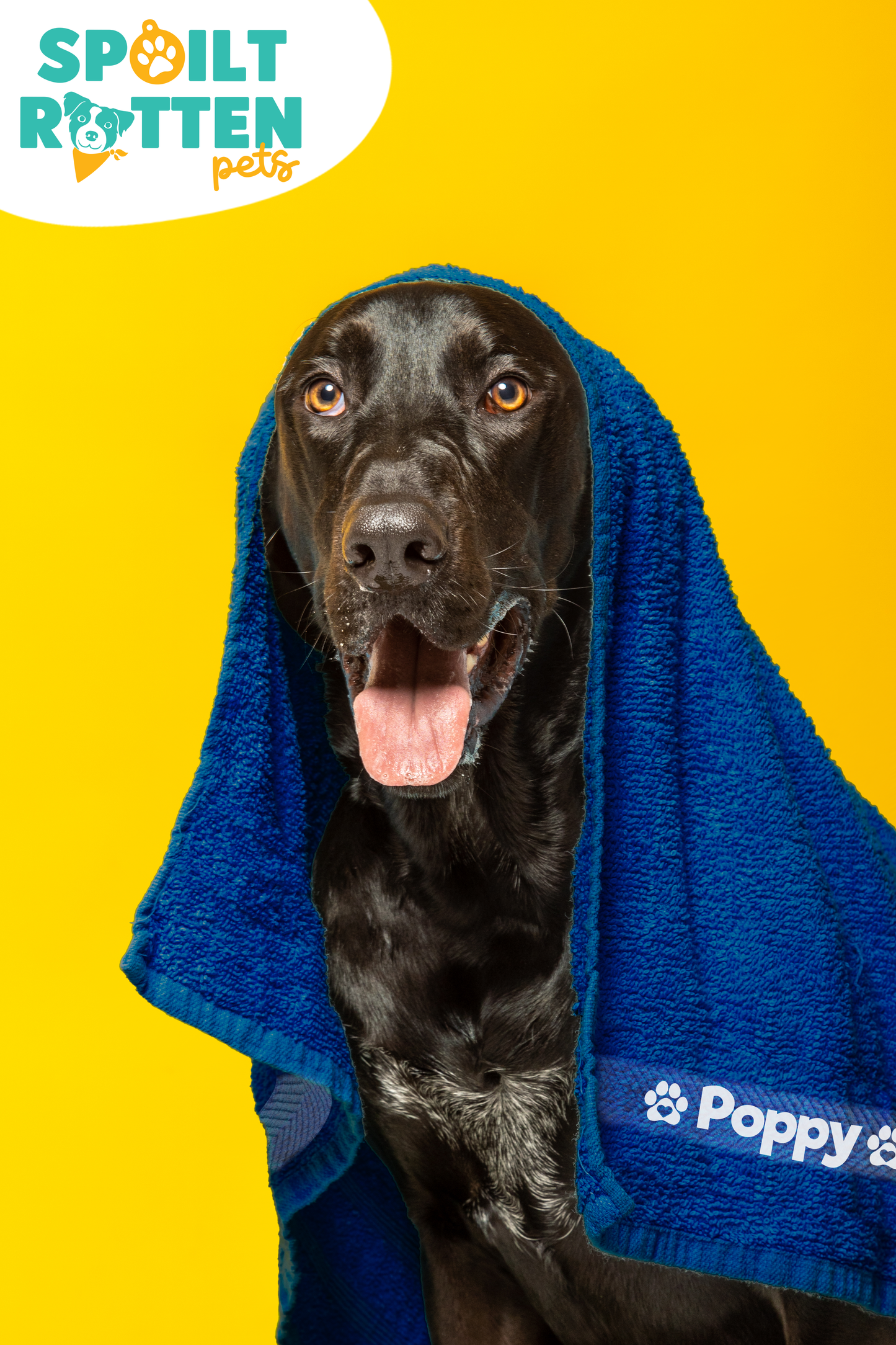 Royal Blue Pet Towel Personalised With Name or Wording