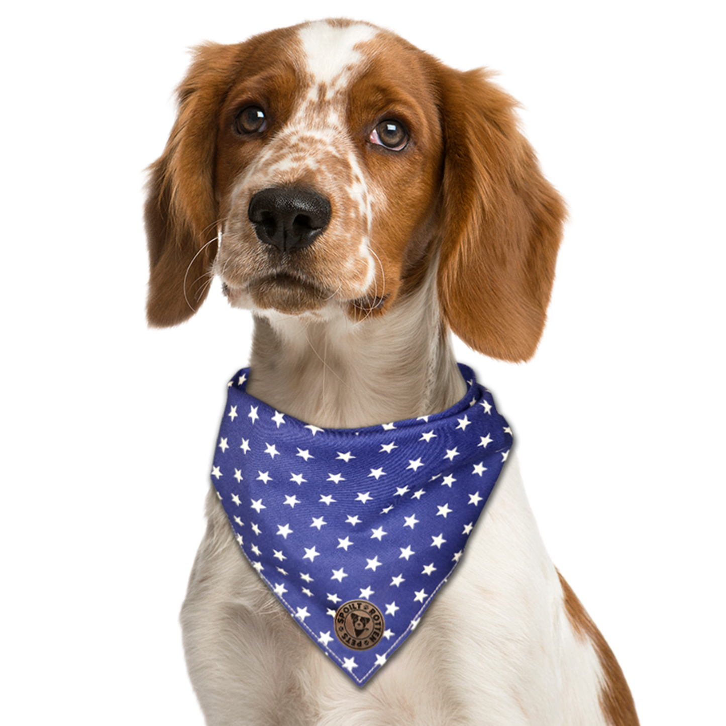 Tiny Star Navy Tied Dog Bandana