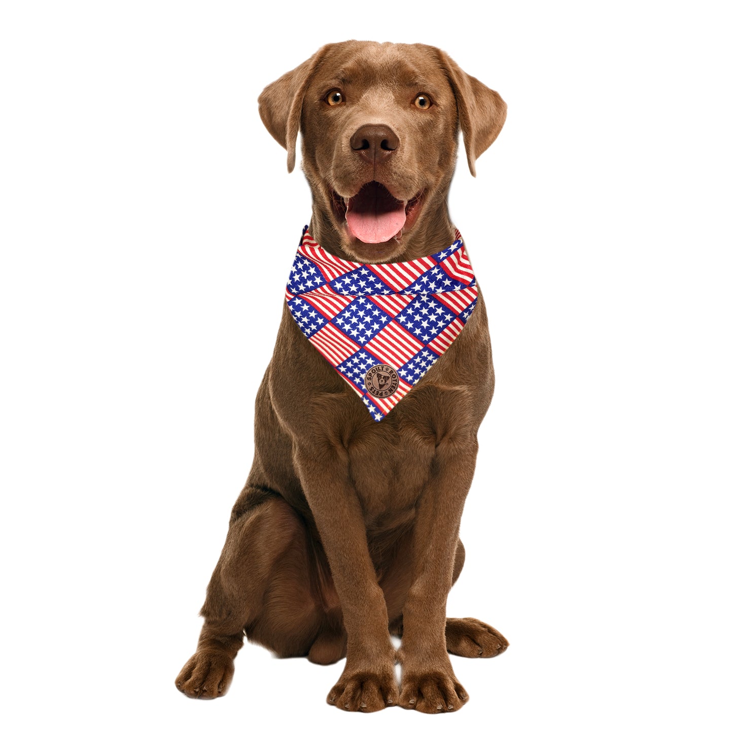 The Washington - American Flag Tied Dog Bandana