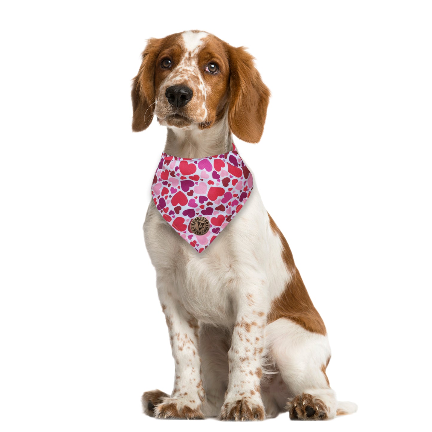 The Beaulieu - Pink Hearts Tied Dog Bandana