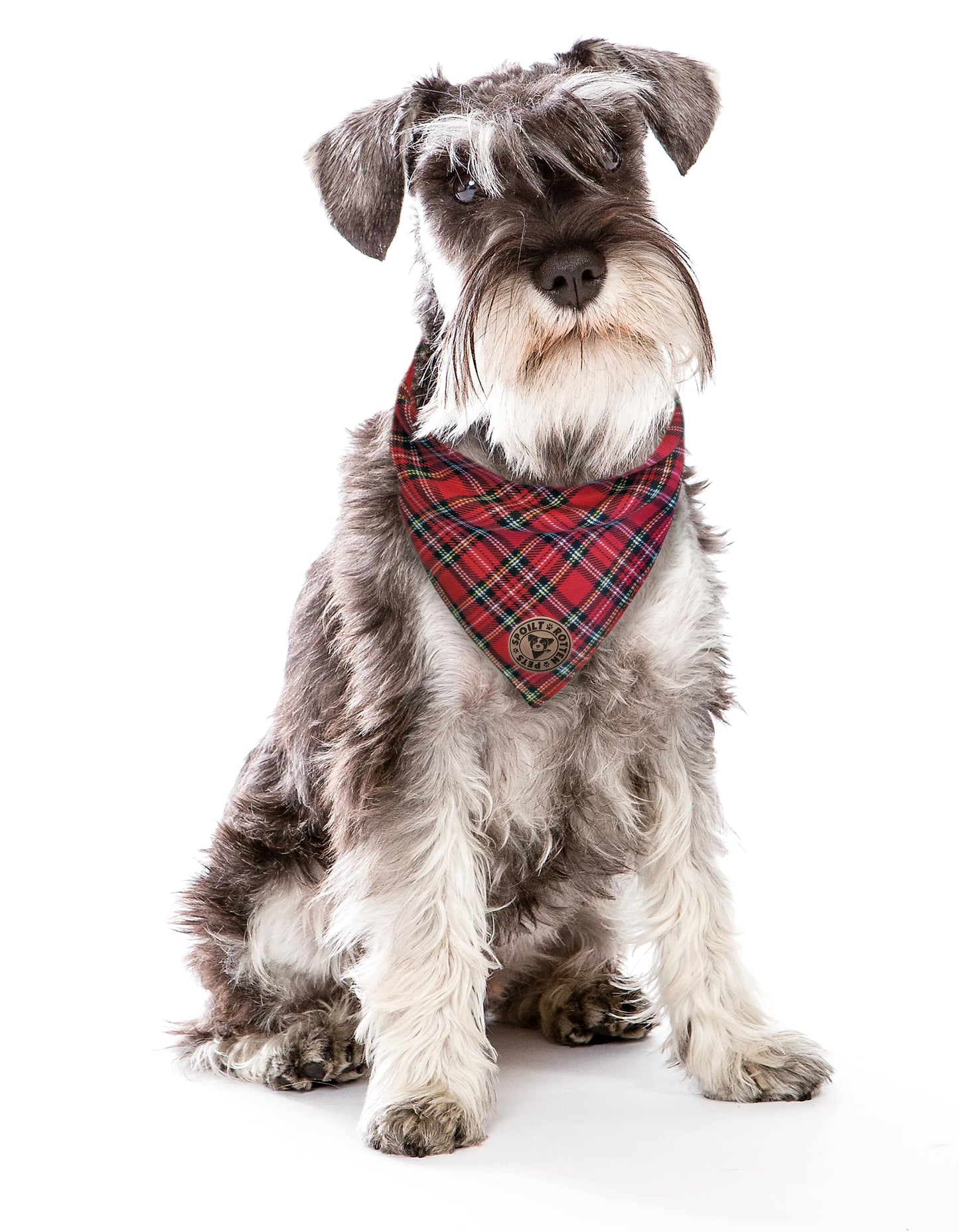 The Balmoral - Red Tartan Tied Dog Bandana
