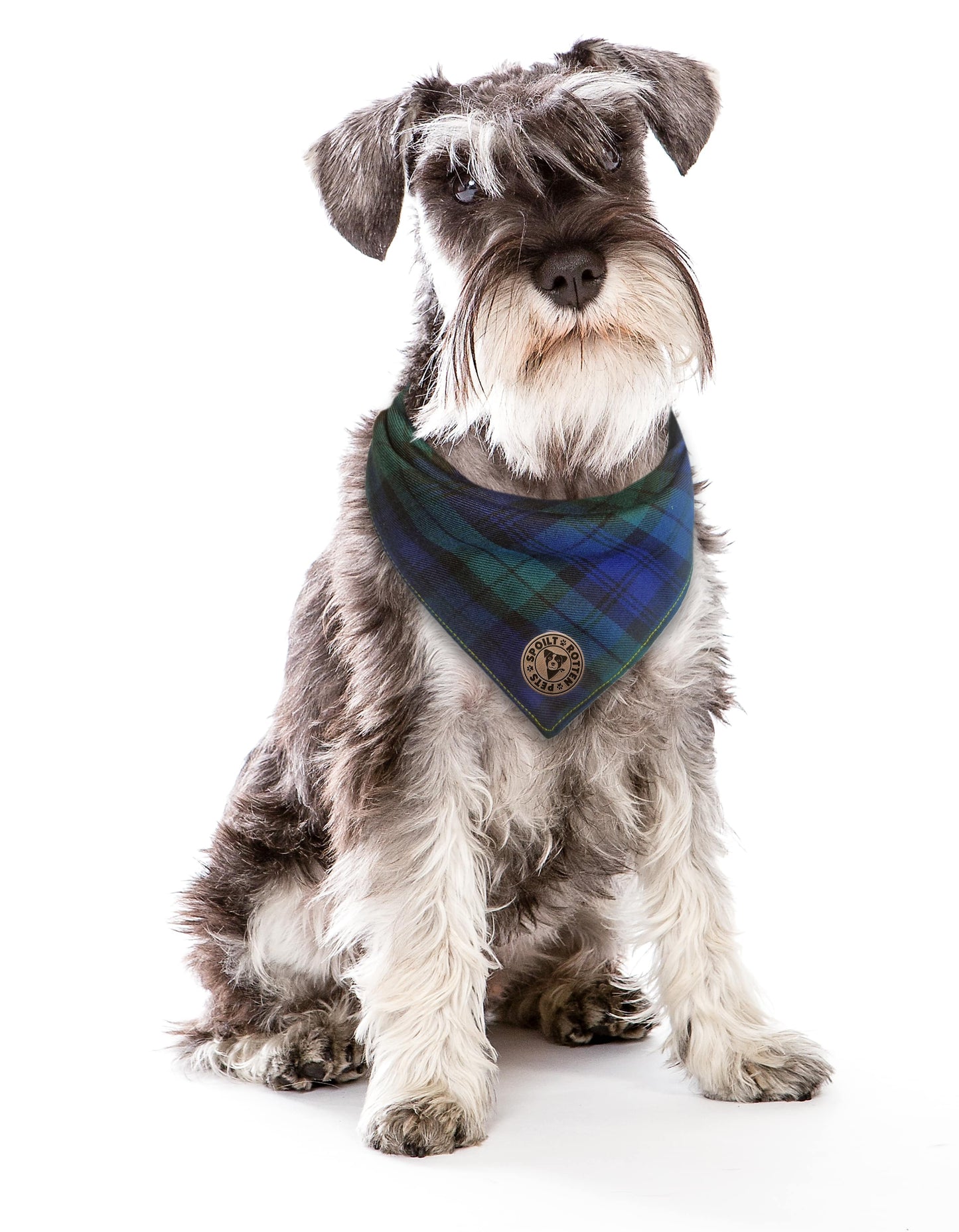 The Edinburgh - Blue Tartan Tied Dog Bandana
