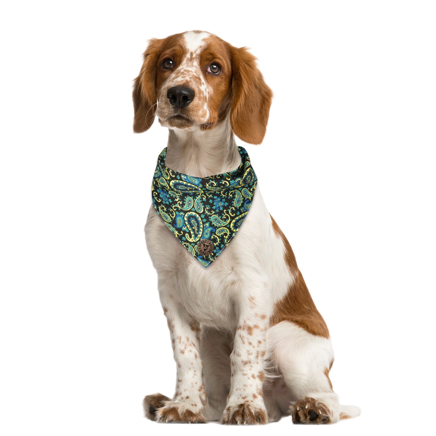 The Winchester - Paisley Blue Cord Tied Dog Bandana