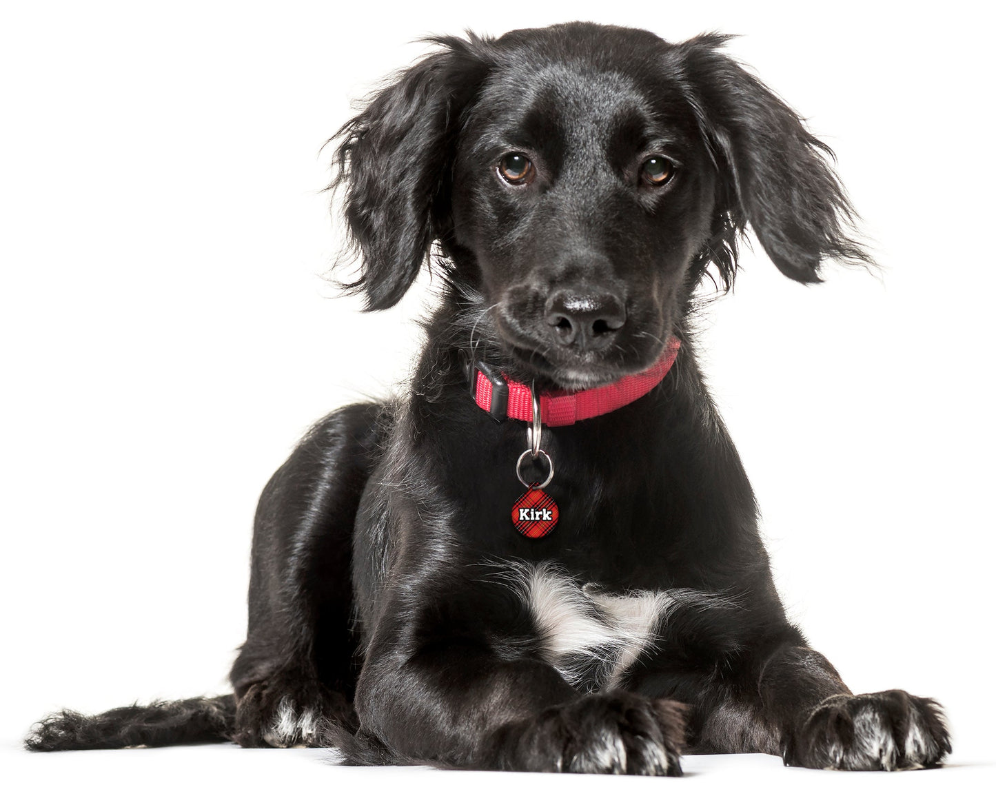 Grr...berry Tartan- Pet ID Tag