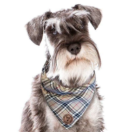 The Aberdeen - Beige Tartan Tied Dog Bandana