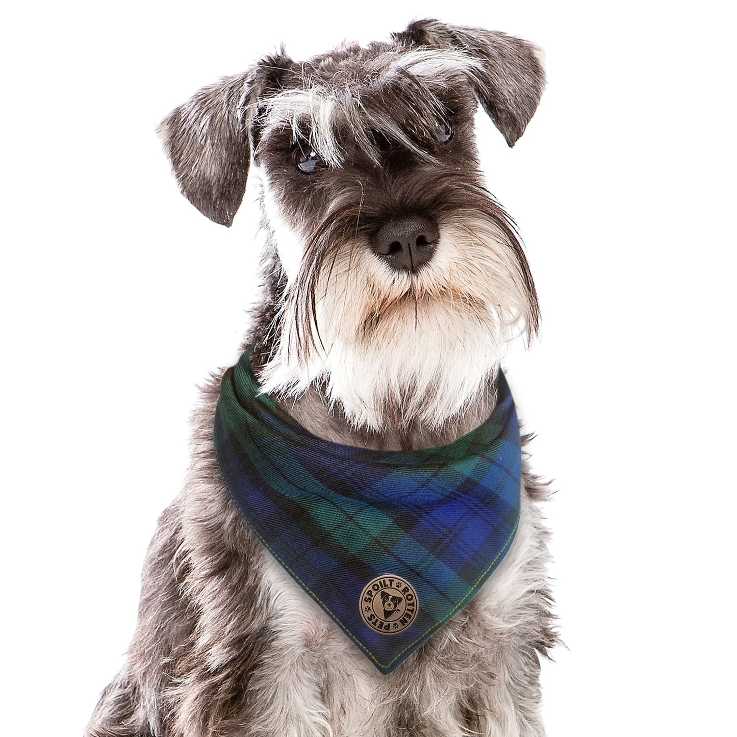 The Edinburgh - Blue Tartan Tied Dog Bandana