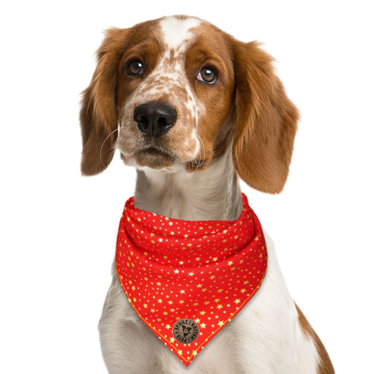 The Buckingham - Gold Star on Red Tied Dog Bandana