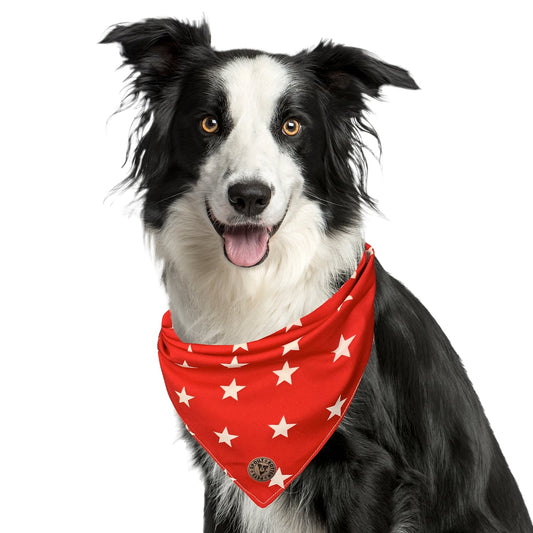 The Liverpool - Large Star on Red Tied Dog Bandana