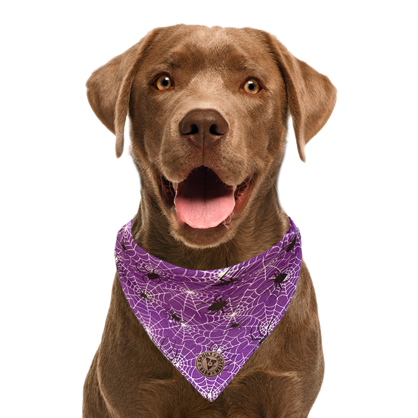 The Chillingham - Purple Cobweb Tied Dog Bandana