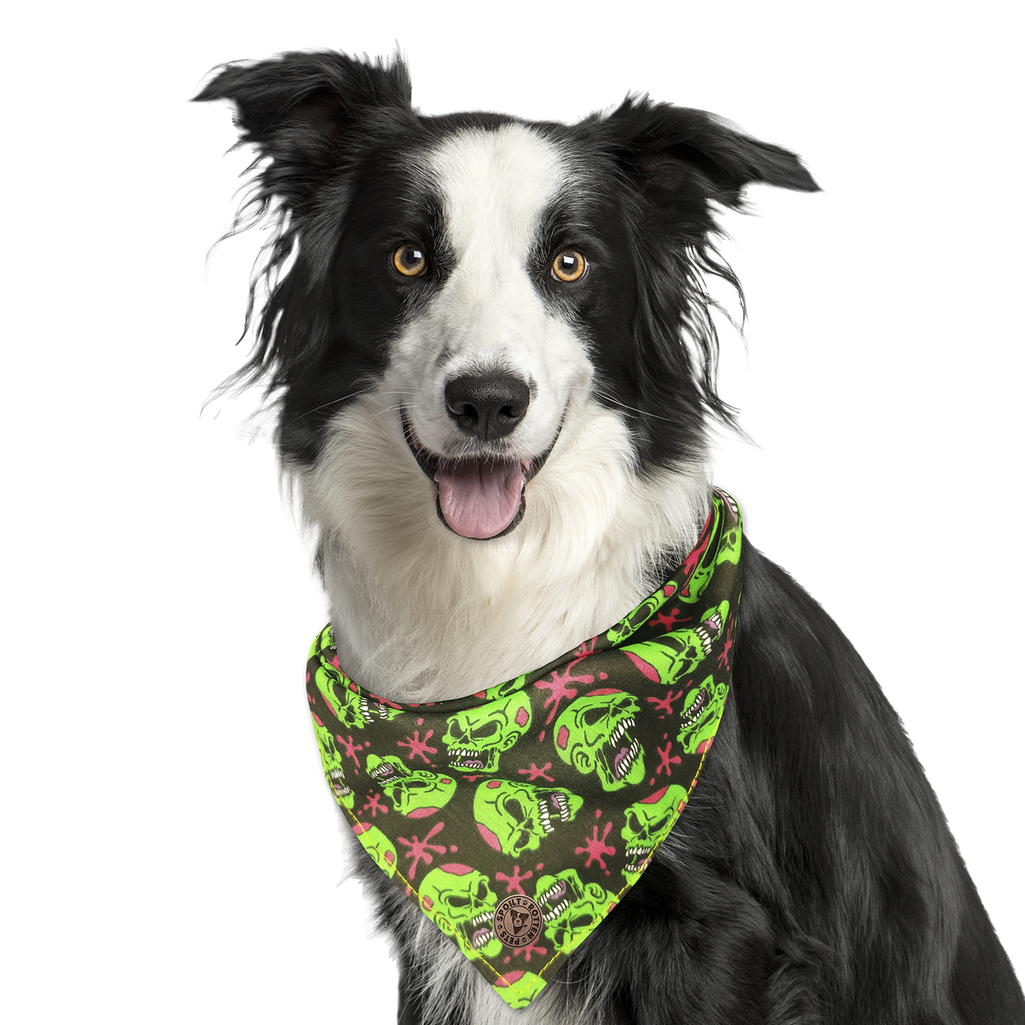 The Hampton - Green Zombie Skulls Tied Dog Bandana