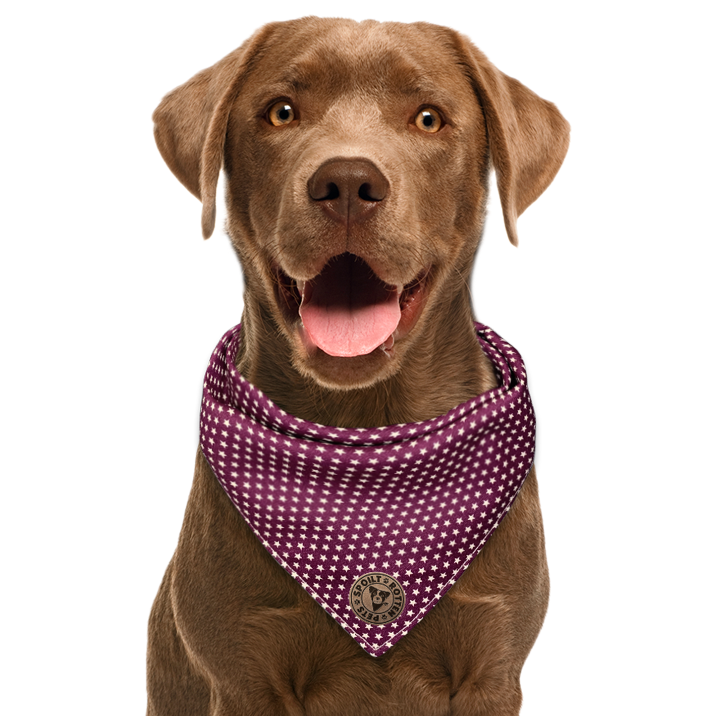 The Darlington - Mini Stars on Purple Tied Dog Bandana