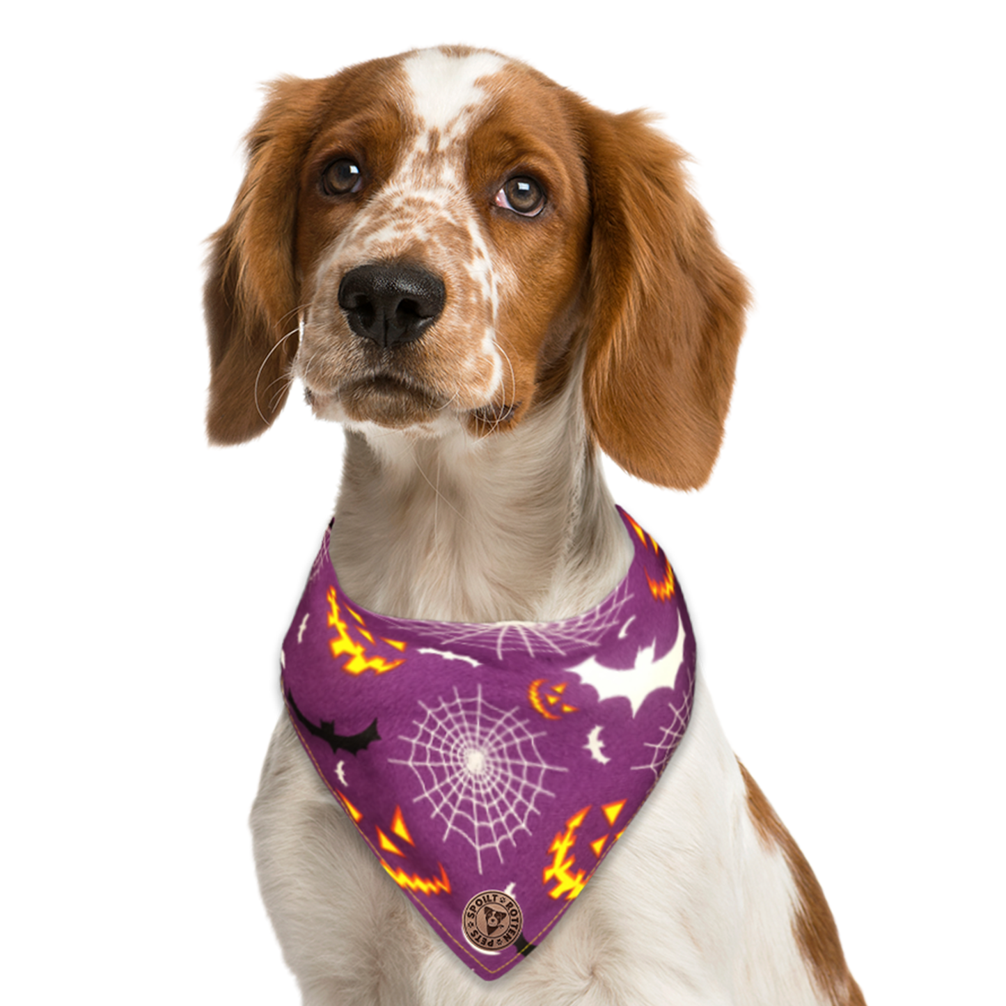 The Pomeroy - Grinning Pumpkins & Webs & Bats Tied Dog Bandana