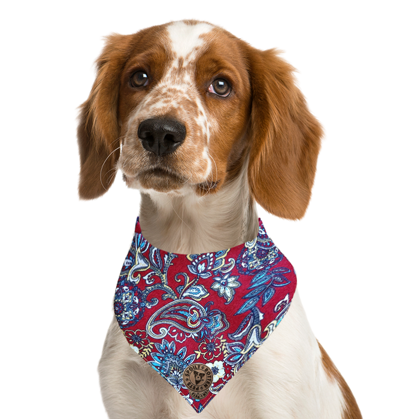 The Chester - Paisley Floral Burgundy Tied Dog Bandana