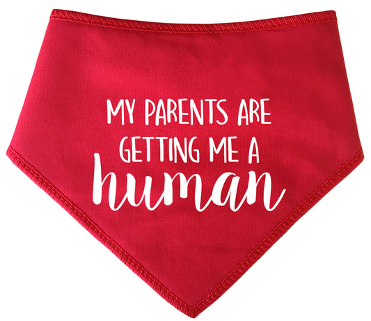 My Parents Are Getting Me A Human Dog Bandana