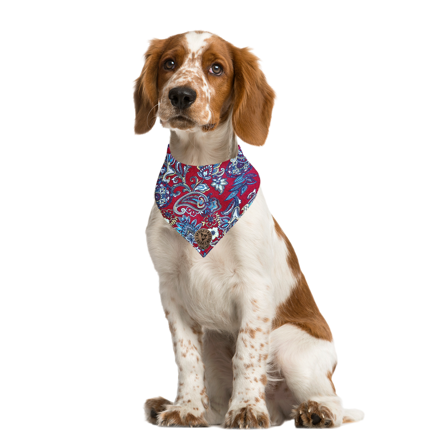 The Chester - Paisley Floral Burgundy Tied Dog Bandana