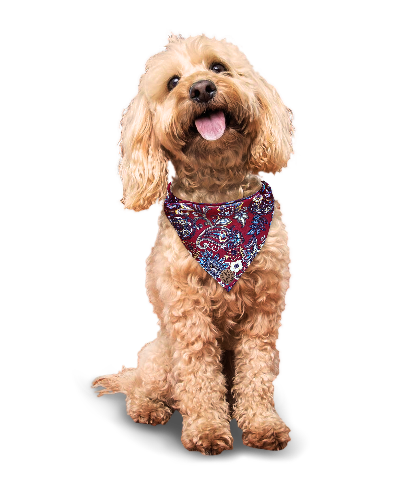 The Chester - Paisley Floral Burgundy Tied Dog Bandana