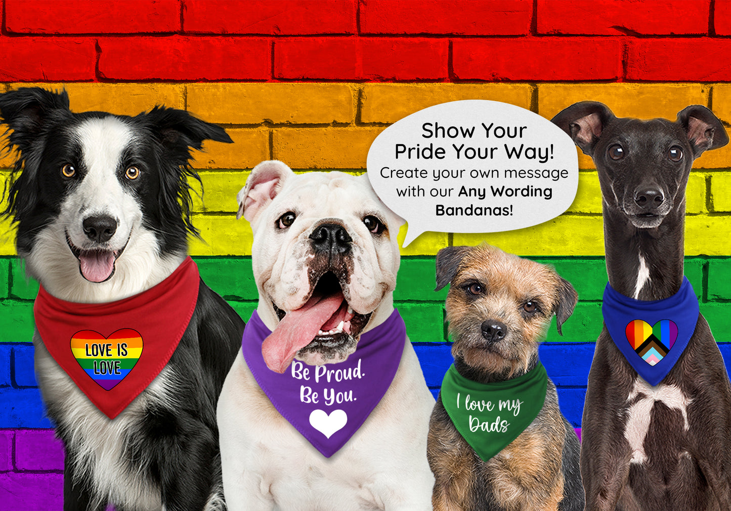 Pride Heart Progress Flag Dog Bandana