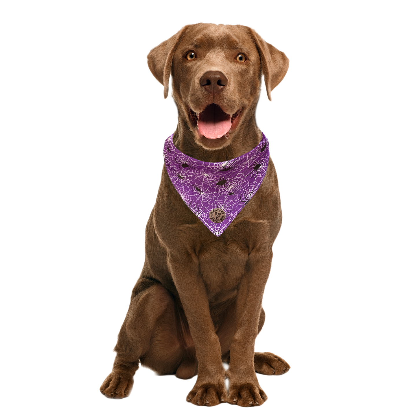 The Chillingham - Purple Cobweb Tied Dog Bandana