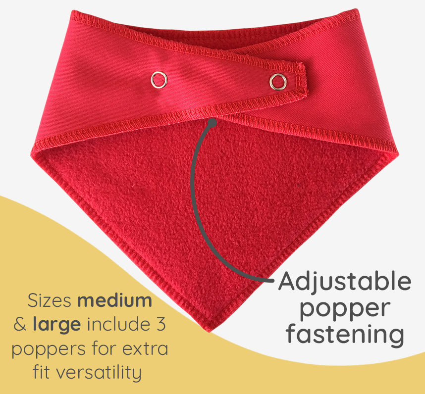 Red Heart Any Wording Or Name Dog Bandana