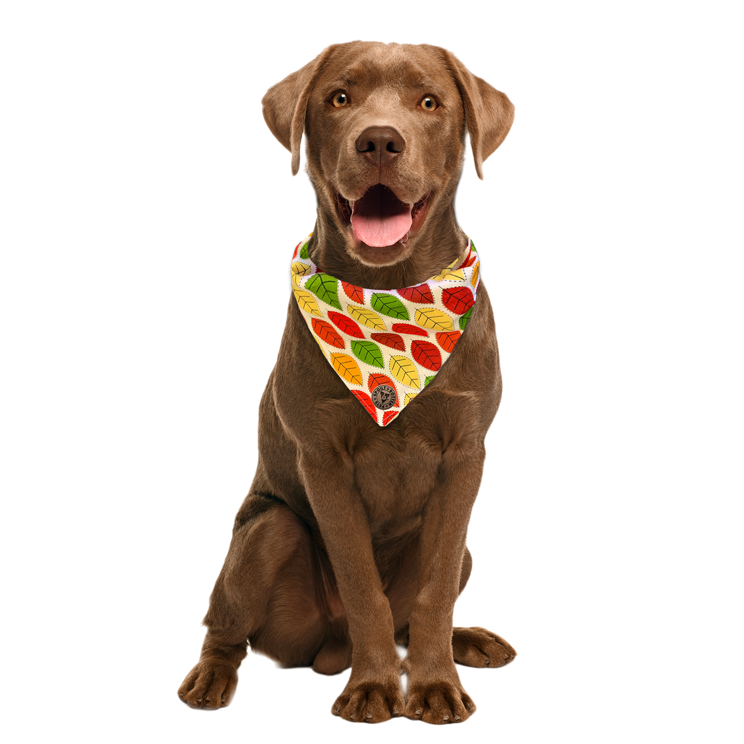 The Sherwood - Leaves Autumn Tied Dog Bandana
