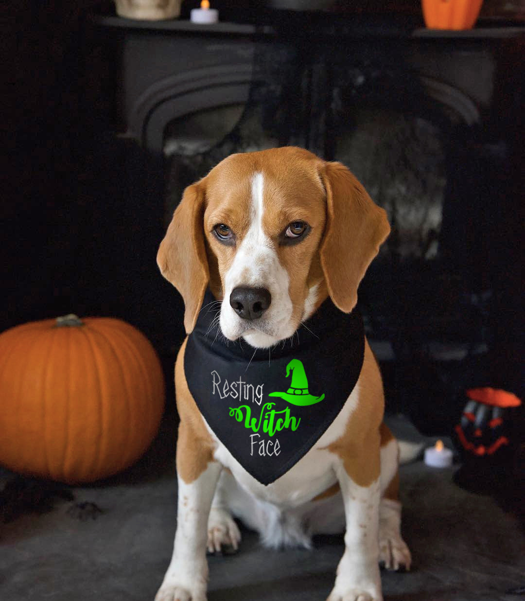 Resting Witch Face Dog Bandana