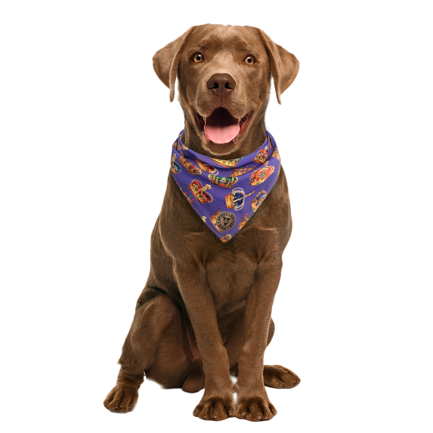 The Warwick - Royal Crown Tied Dog Bandana