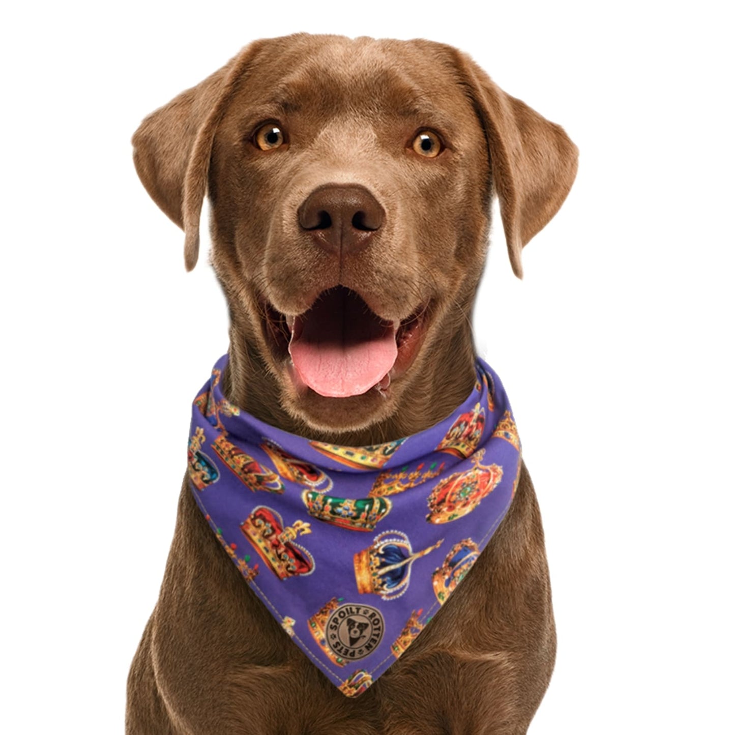 The Warwick - Royal Crown Tied Dog Bandana