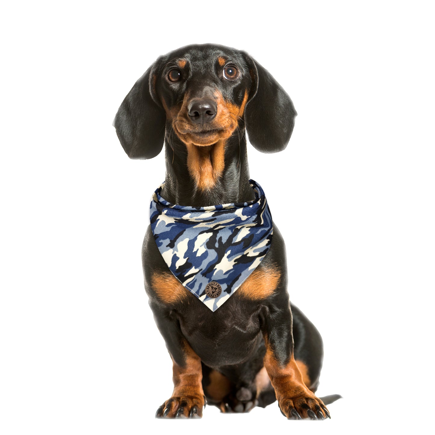 The Aldershot - Camo Blue Tied Dog Bandana