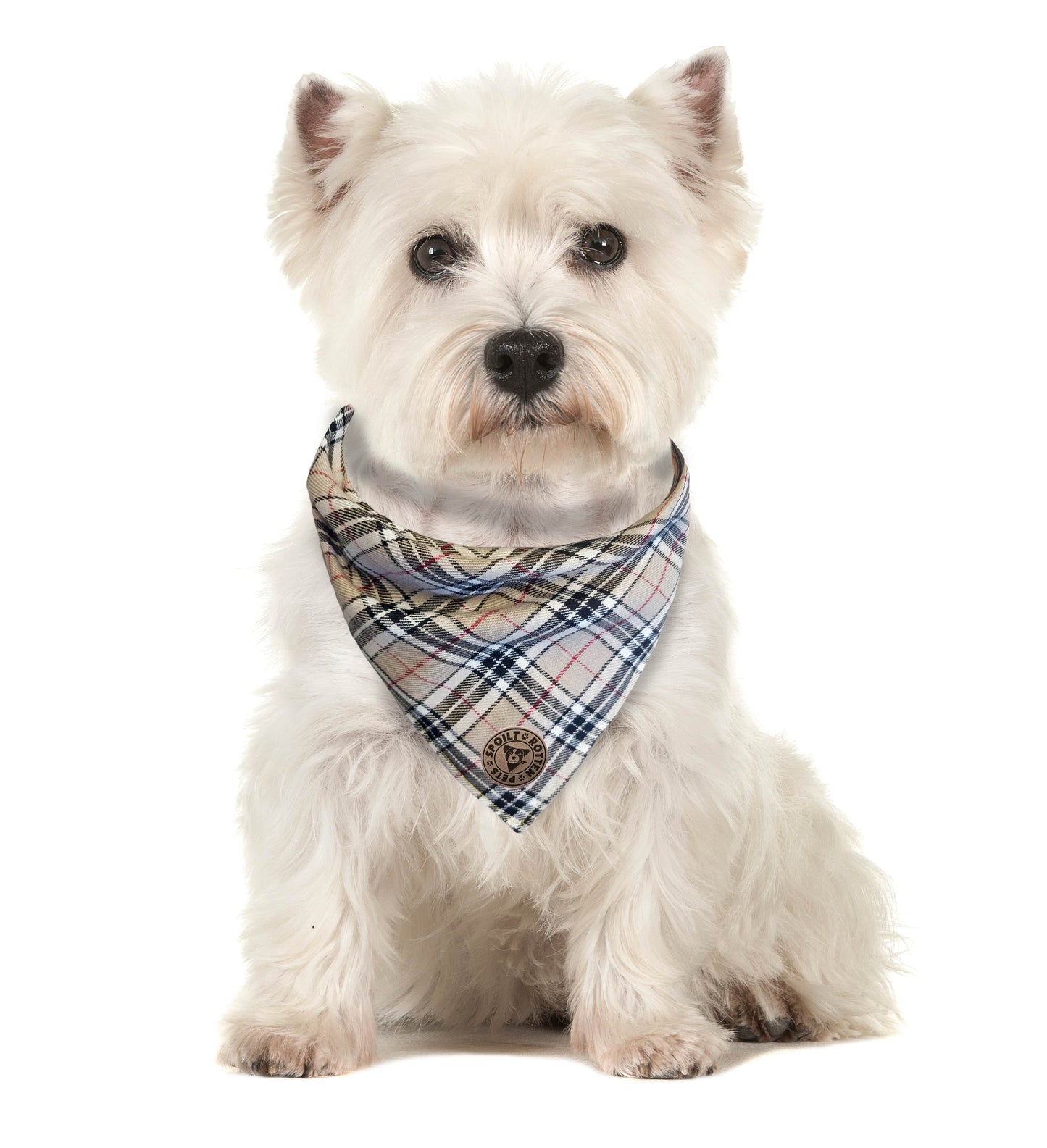 The Aberdeen - Beige Tartan Tied Dog Bandana