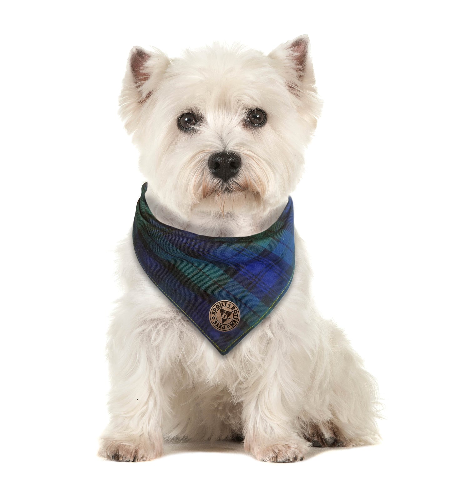 The Edinburgh - Blue Tartan Tied Dog Bandana