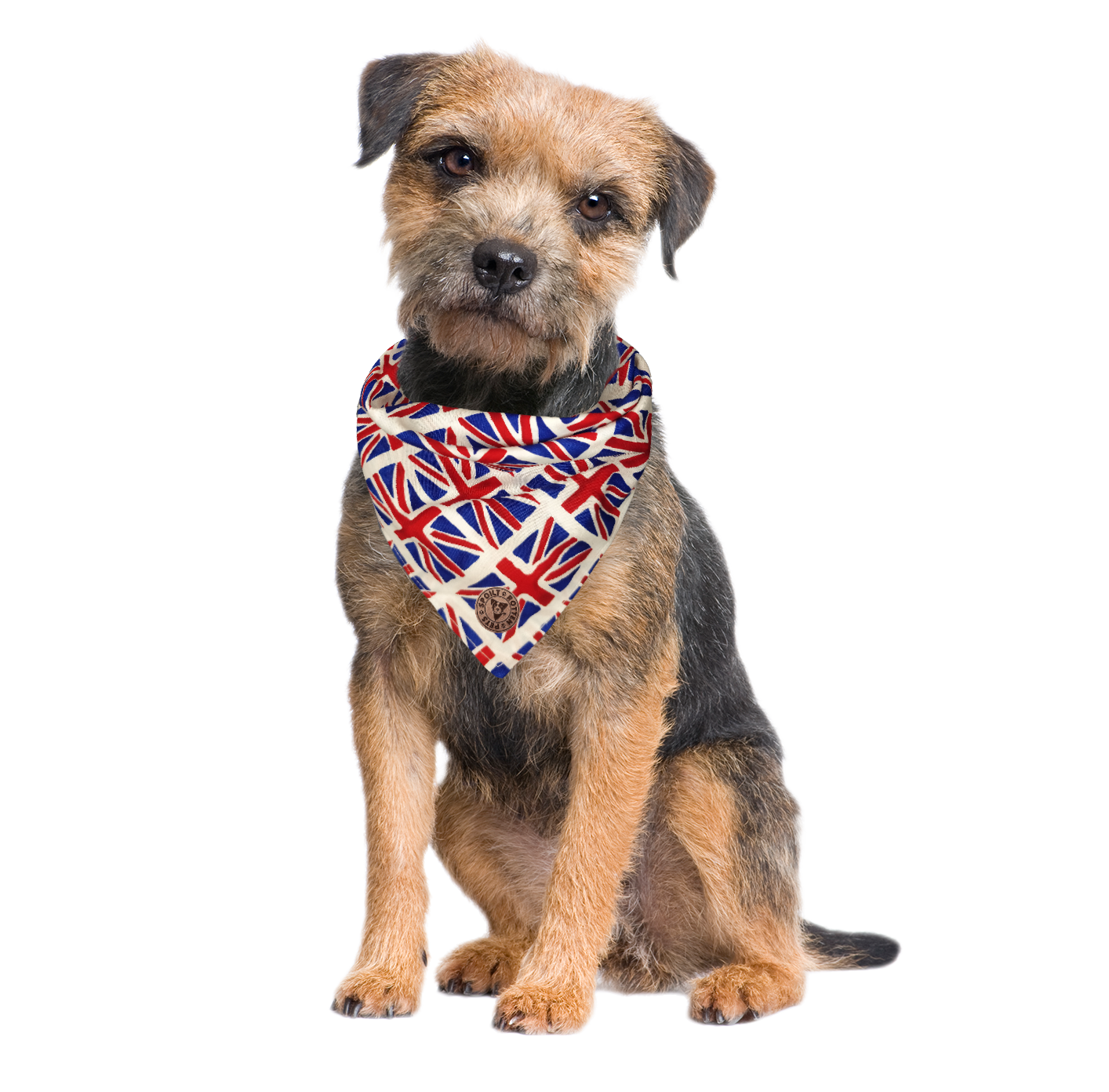 The London - Union Jack Tied Dog Bandana