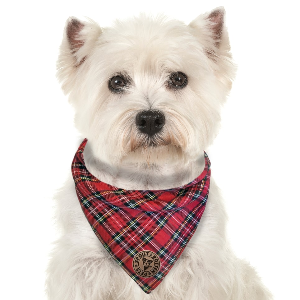 The Balmoral - Red Tartan Tied Dog Bandana