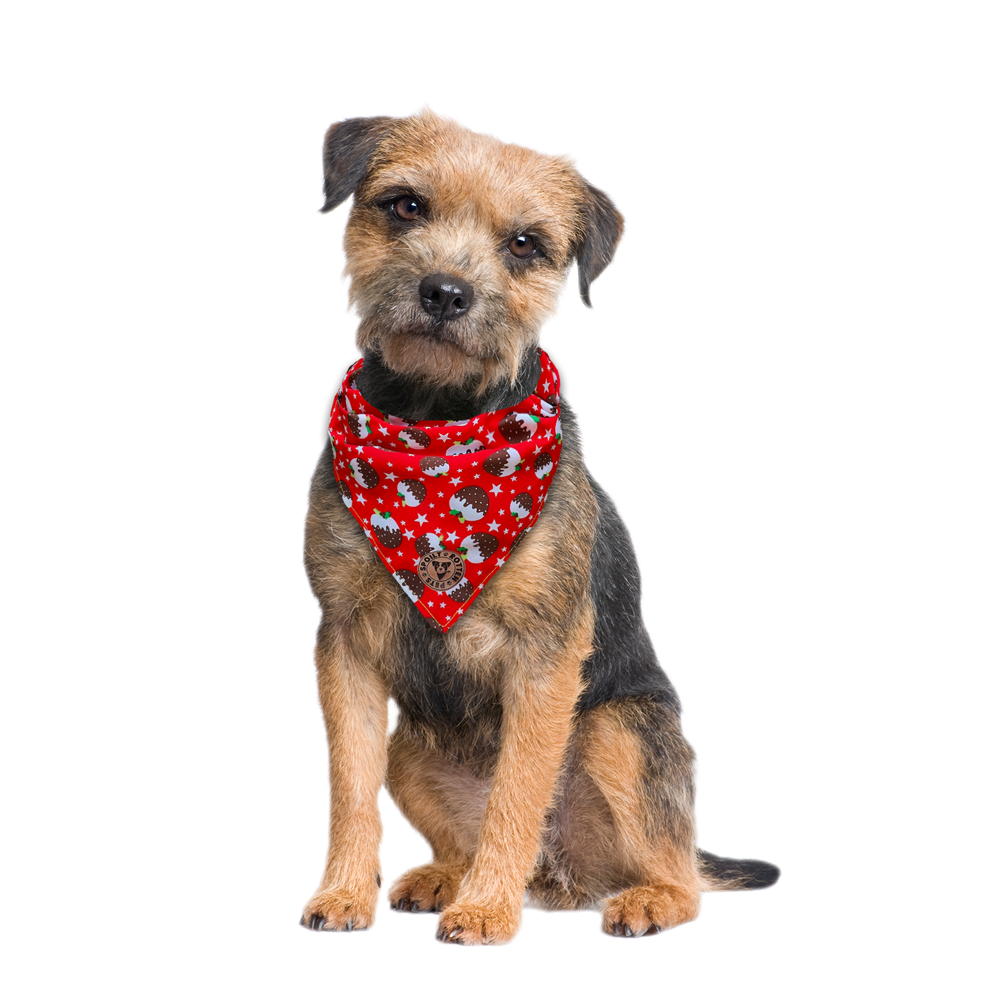 The Bakewell - Christmas Pudding Tied Dog Bandana