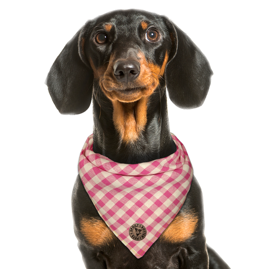 The Norfolk - Gingham Pink Tied Dog Bandana