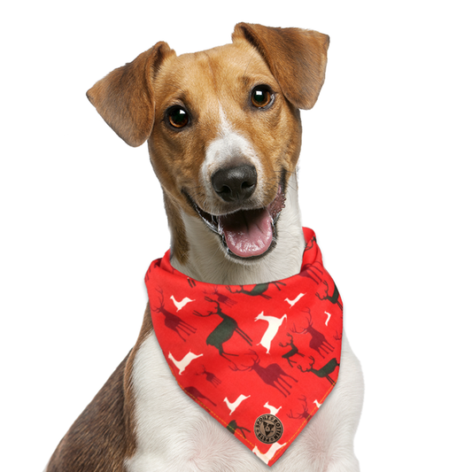 The Camden - Red Stag Tied Dog Bandana