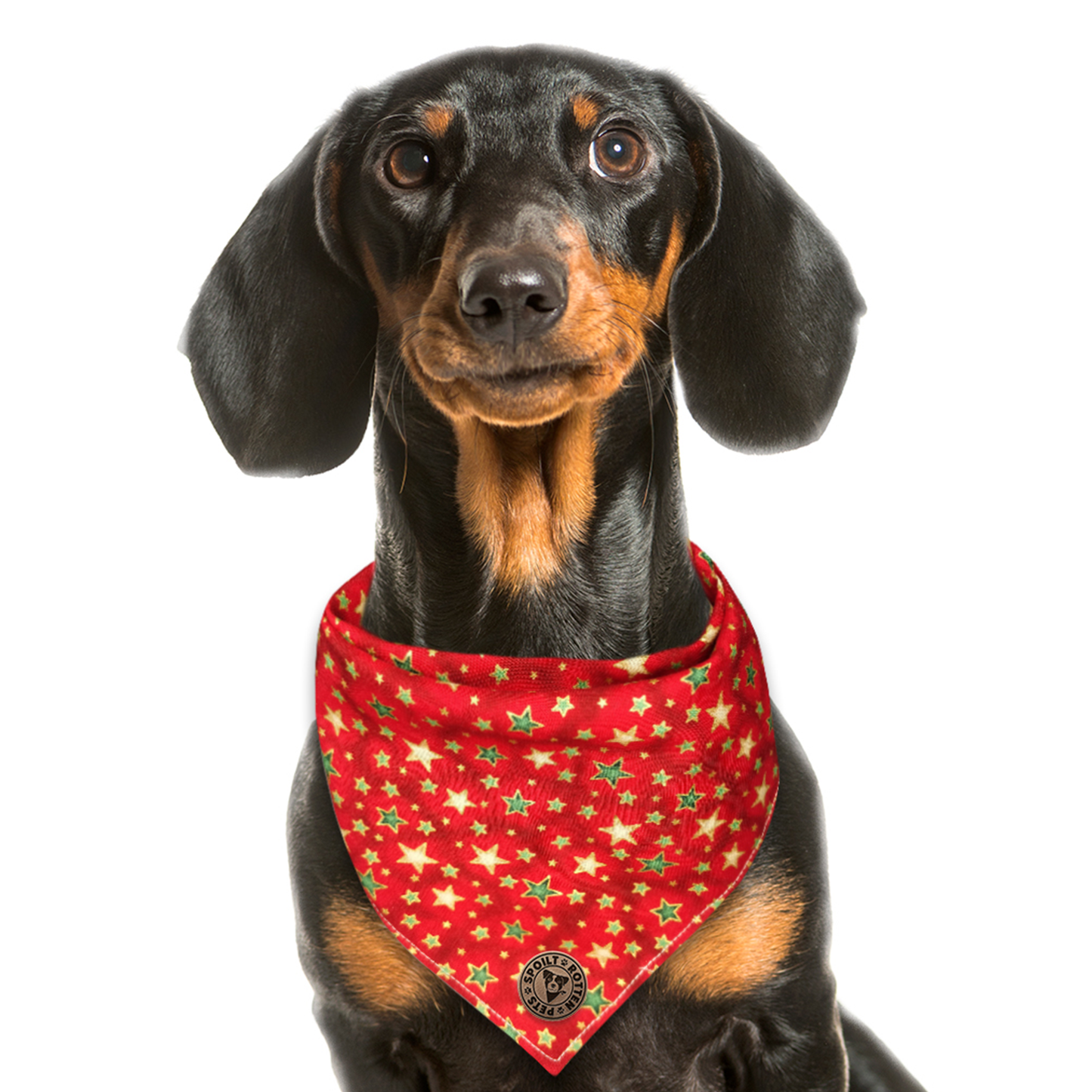 The Piccadilly - Christmas Green & Gold Stars Tied Dog Bandana