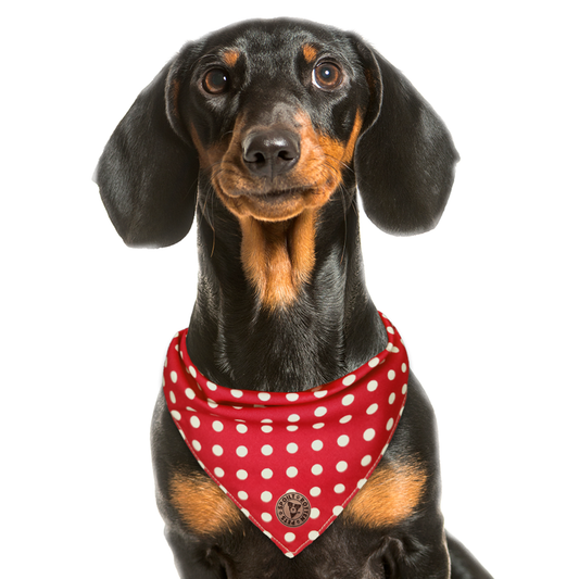 The Dover - Polka Dot Red Tied Dog Bandana