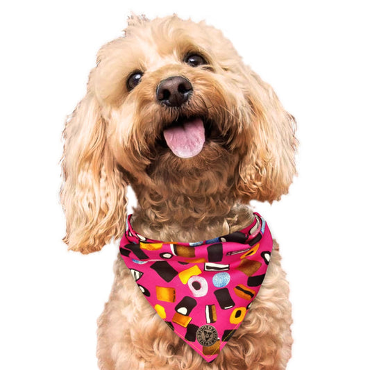 The Blackpool - Liquorice Allsorts Pink Tied Dog Bandana